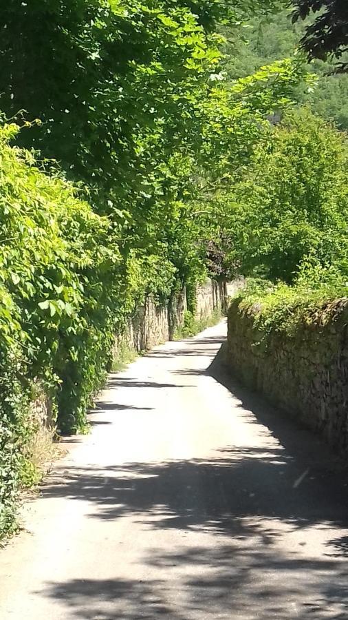 Gite 4 Personnes Au Calme Et Tout Confort Saint-Vallier  Exterior photo